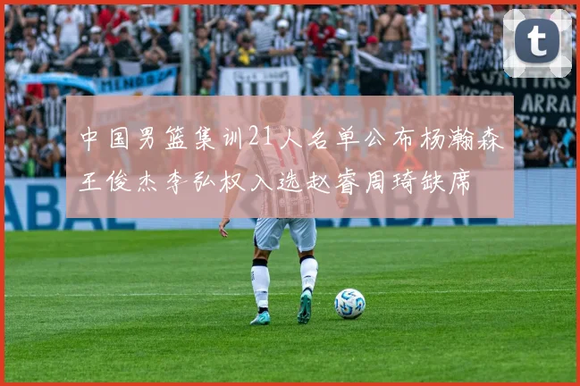 中国男篮集训21人名单公布杨瀚森王俊杰李弘权入选赵睿周琦缺席