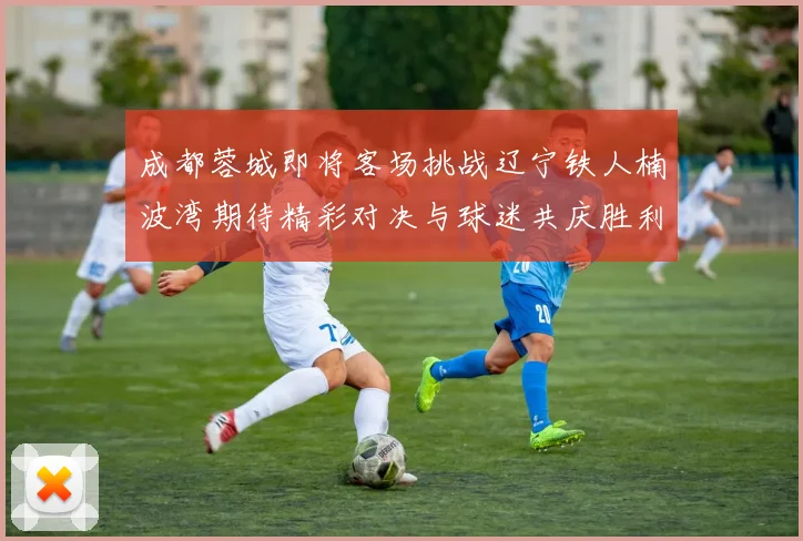 成都蓉城即将客场挑战辽宁铁人楠波湾期待精彩对决与球迷共庆胜利