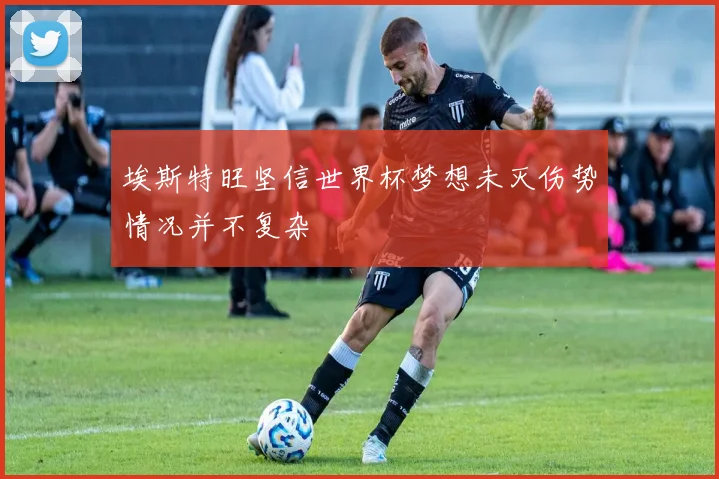 埃斯特旺坚信世界杯梦想未灭伤势情况并不复杂